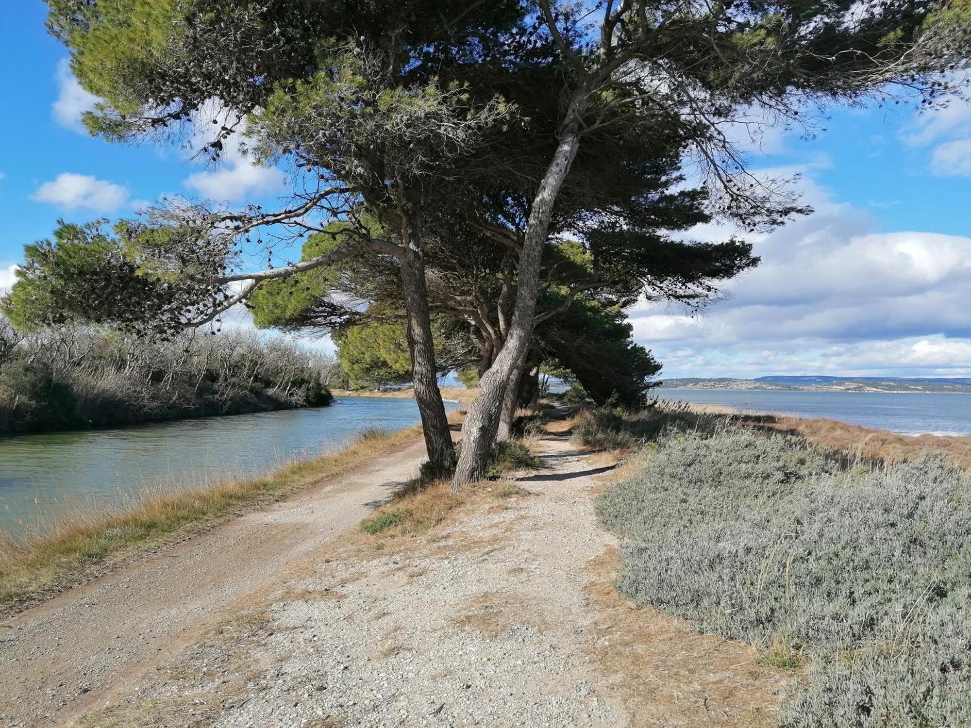 Entre Mer Et Roseaux - Piscine - Proche Centre Et Mer - Petfriendly Port-la-Nouvelle Zewnętrze zdjęcie